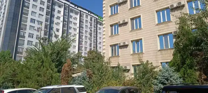 Rich - 7