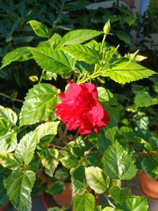 Pansionat Morskie Rify - 48