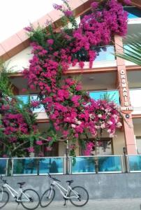 Orsmaris Boutique - Boutique Class - 16