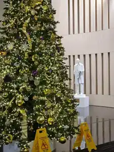 Hayatt Ridzhensi Ekaterinburg - 24