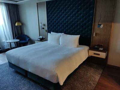 Doubletree By Hilton Plovdiv Center - 11