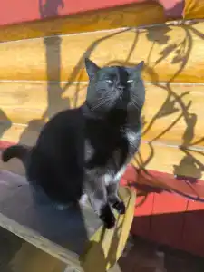 Usad'ba Chetyire Sezona - 92