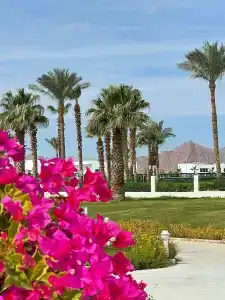 Maritim Jolie Ville Resort & Casino - 71