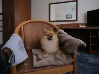 Bogemia on Vavilova Street - 20