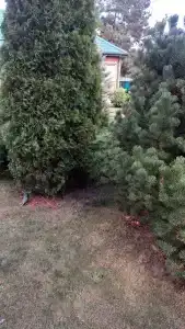 Tihaya Gavan Tourist base - 37