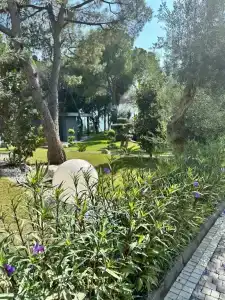 Unique Life Style - 40