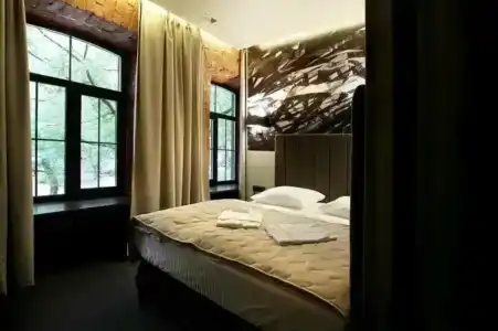 Wellion Baumansky - 61