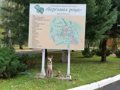 Berezovaya roshcha - 90
