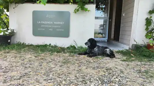 La Fazenda Apart - 12