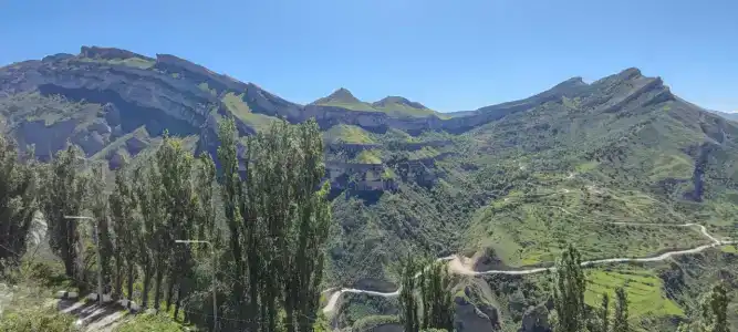 Белые журавли - 48