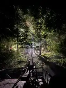 Recreation center Lesnye dali - 5