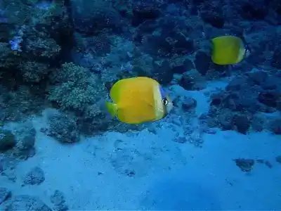 Le Peninsula Bay Beach Resort & Spa - 14