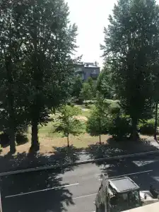 Екатерингоф - 34