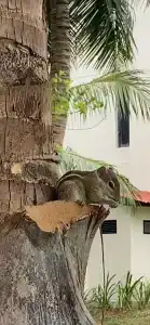 The Calm Resort & Spa - 17