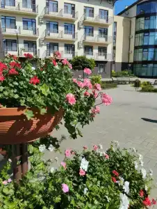 Gostinechniy Kompleks Lyubim - 16