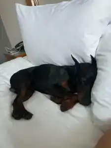 Courtyard by Marriott City Center - 12