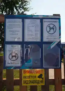 Zolotye peski - 53