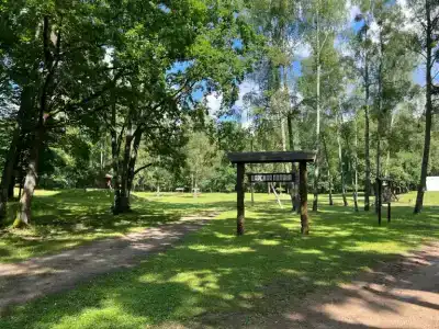 Belovezhskaya pushcha №2 - 7