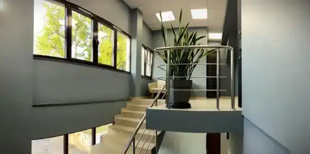 Skandi - 5