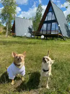 Nekrasovo Tourist base - 76