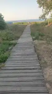 турбаза Прибой - 25