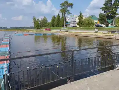 Detskiy Sanatoriy "Rosinka" - 32