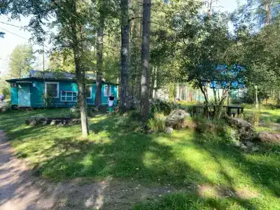 Ryabinushka - 5