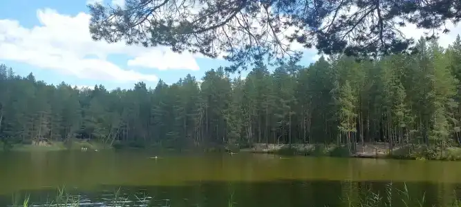 Park razvlecheniy Chyornoe ozero - 13