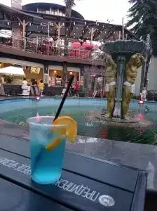 Кардинал - 95