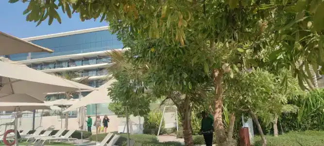 W Dubai - The Palm - 98
