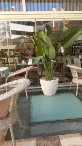 Nerton - All Inclusive - 9