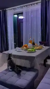 ОАЗИС домики - 78