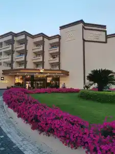 Asteria Collection - 71