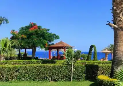 Royal Monte Carlo Sharm El Sheikh - Adults only - 39