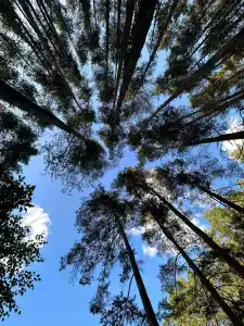 Knyazhyya Rechka Baza Otdykha - 69