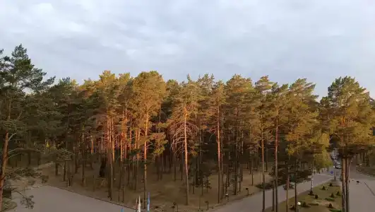 Narochanka Sanatorium - 79