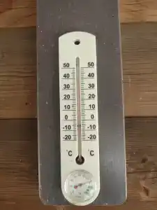 Usadba Rybatskiie prostory - 60