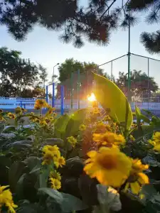 Recreation center Liliya - 54