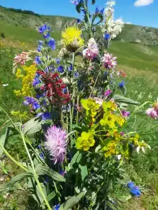 Park-Otel Kanyon Recreation camp - 46