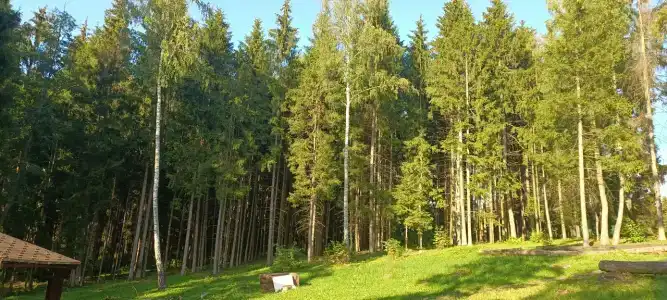 База Активного отдыха Иволга - 2