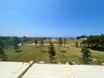 Asteria Bloom Side - 31