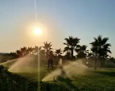 Tui Magic Life Jacaranda - 30