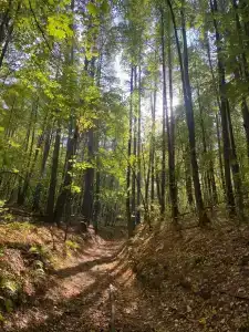 Baza Otdykha Monte-Karlo - 20