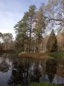 Sanatoriy Shchelykovo - 47
