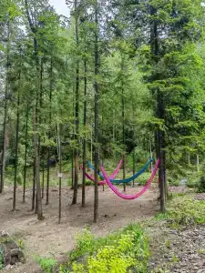 Vesna Tourist base - 43