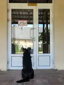 Frische Nehrung - 21