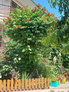 Pansionat Morskie Rify - 30