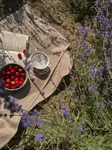 Park-Otel Yuzhnyy bereg - 3