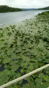 Shahtyor Tourist base - 79