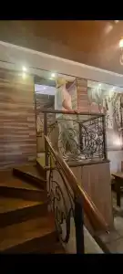 Lavitor - 0